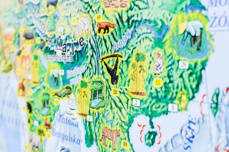 Świat Niezwykły Demart (10).jpg