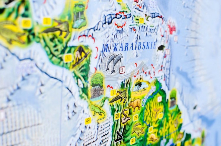 Świat Niezwykły Demart (11).jpg