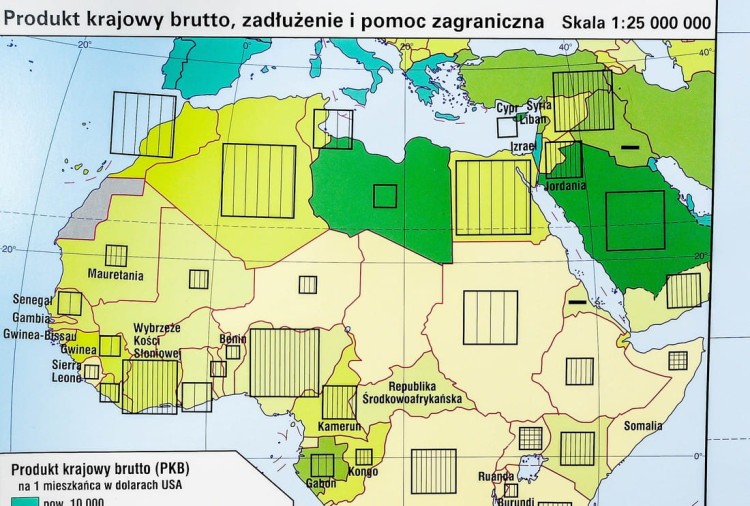 Afryka Gospodarcza. NE (9).jpg