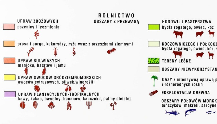 Afryka Gospodarcza. NE (11).jpg