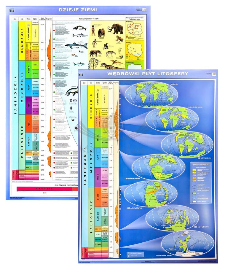 Dzieje Ziemi / Wędrówki płyt litosfery. Dwustronna plansza edukacyjna