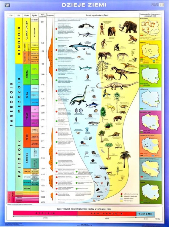 Dzieje Ziemi / Wędrówka płyt litosfery Plansza edukacyjna I strona