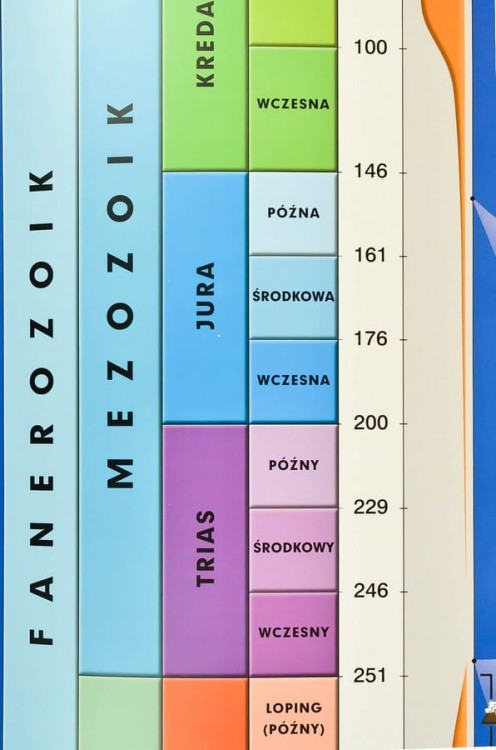 Dzieje Ziemi / Wędrówka płyt litosfery Plansza edukacyjna fragment
