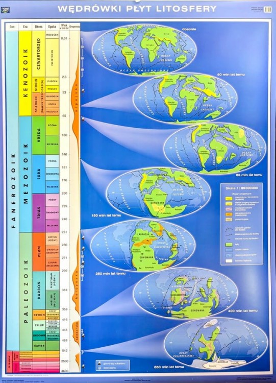 Dzieje Ziemi / Wędrówka płyt litosfery Plansza edukacyjna II strona