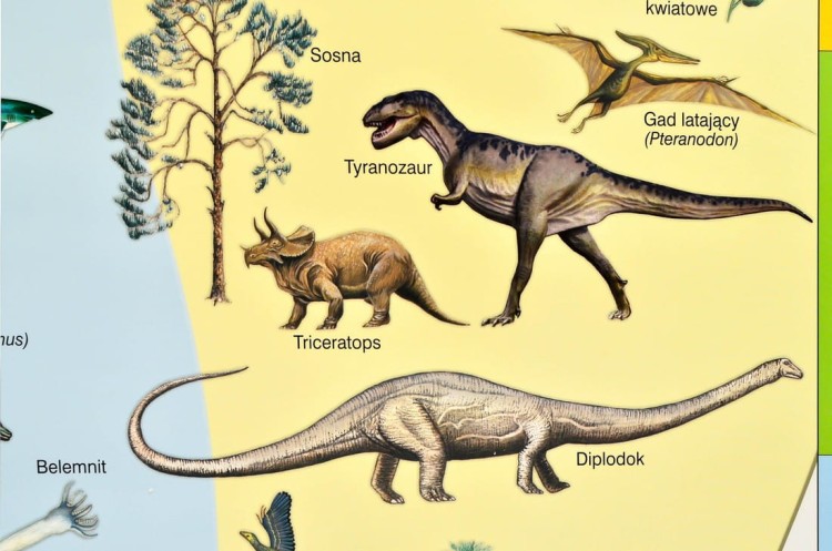 Dzieje Ziemi / Wędrówka płyt litosfery Plansza edukacyjna fragment 2