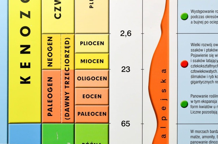 Dzieje Ziemi / Wędrówka płyt litosfery Plansza edukacyjna fragment 4