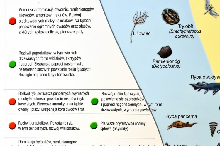 Dzieje Ziemi / Wędrówka płyt litosfery Plansza edukacyjna fragment 5