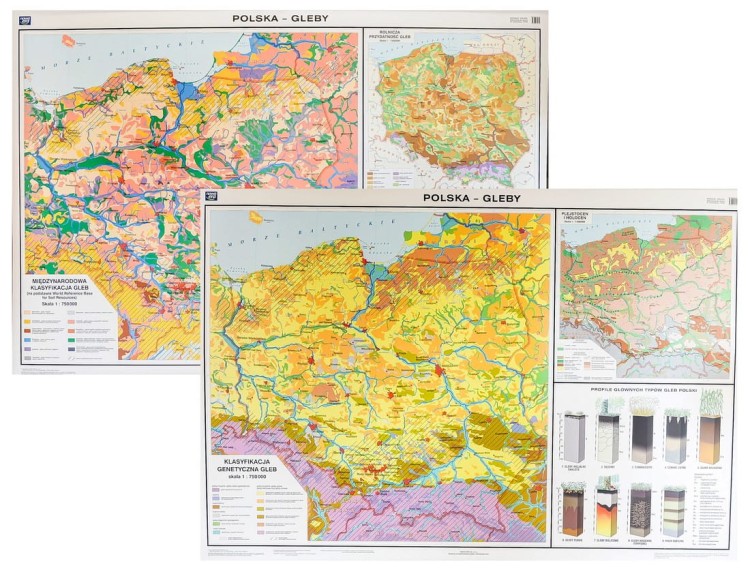 Polska - gleby mapa ścienna Nowa Era całość