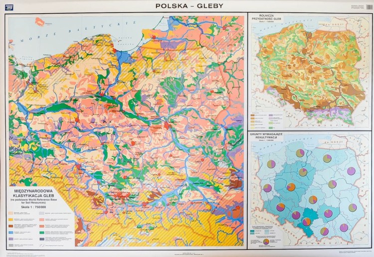 Polska - gleby mapa ścienna Nowa Era I strona