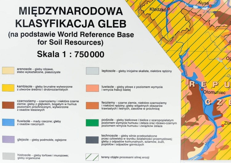 Polska - gleby mapa ścienna Nowa Era fragment 4