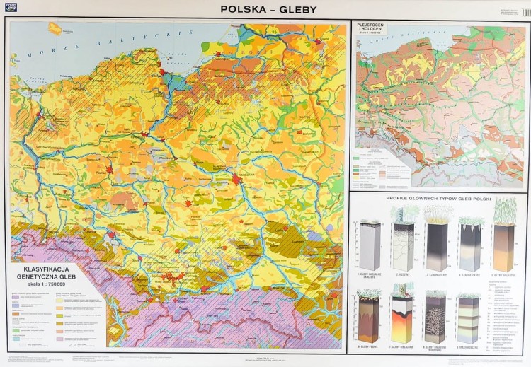 Polska - gleby mapa ścienna Nowa Era II strona