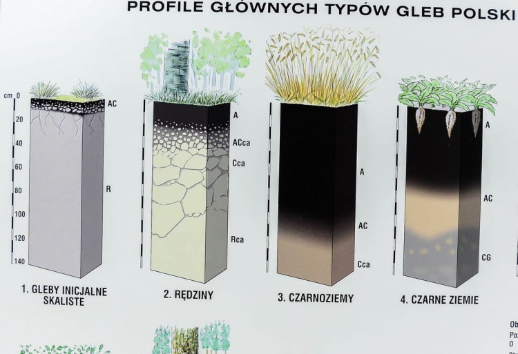 Polska - gleby mapa ścienna Nowa Era fragment 14