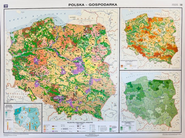 Polska gospodarka rolnictwo i przemysł mapa ścienna Nowa Era I strona