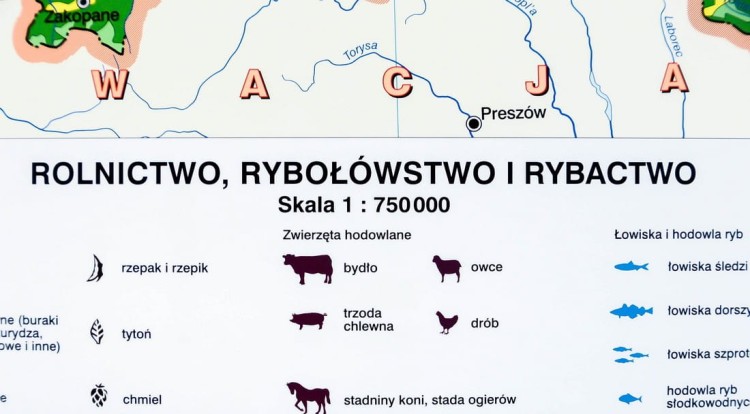 Polska gospodarka rolnictwo i przemysł mapa ścienna Nowa Era fragment 6