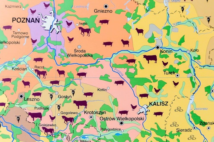 Polska gospodarka rolnictwo i przemysł mapa ścienna Nowa Era fragment 2