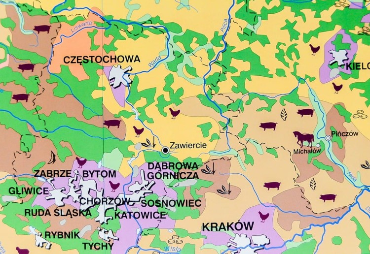 Polska gospodarka rolnictwo i przemysł mapa ścienna Nowa Era fragment 3