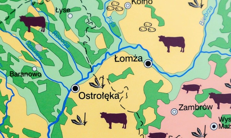 Polska gospodarka rolnictwo i przemysł mapa ścienna Nowa Era fragment 4