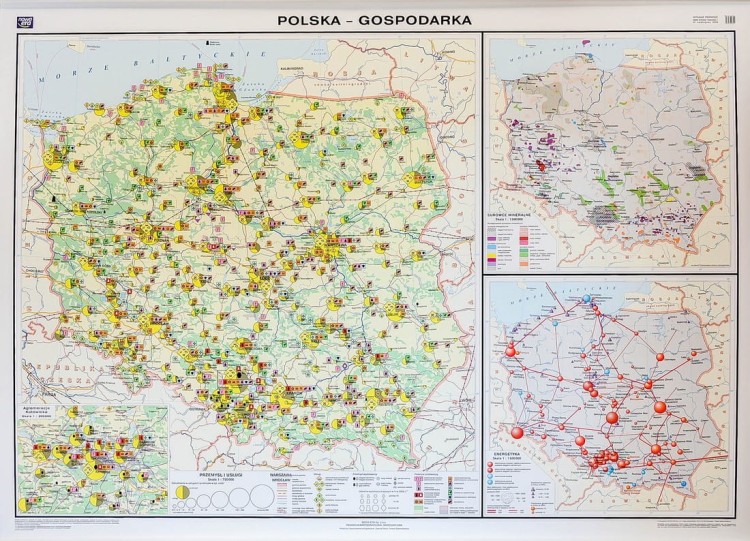 Polska gospodarka rolnictwo i przemysł mapa ścienna Nowa Era II strona