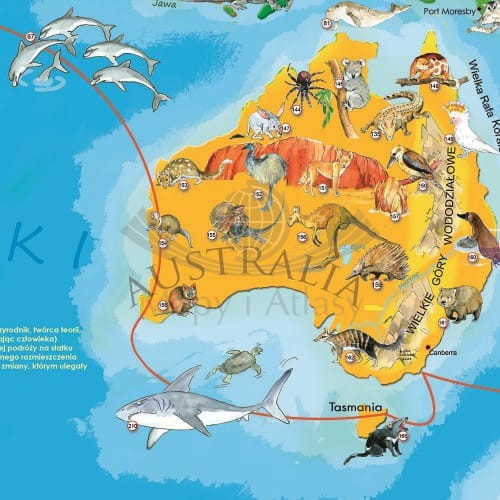 Zwierzęta Świata Młodego Odkrywcy. Naklejka, mapa ścienna dla dzieci. Producent: ArtGlob. Fragment 3