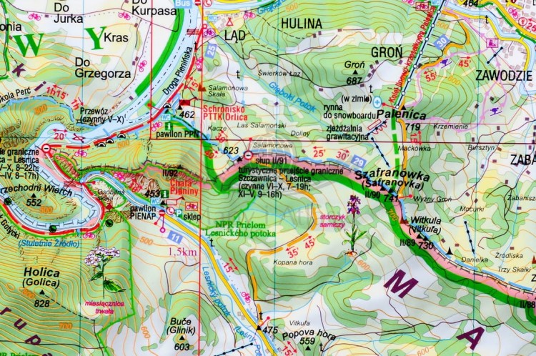 Pieniny Cartomedia (5).jpg