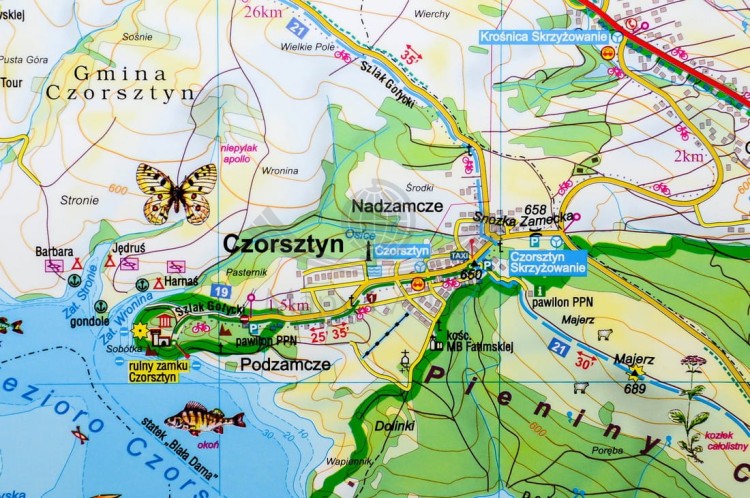 Pieniny Cartomedia (6).jpg