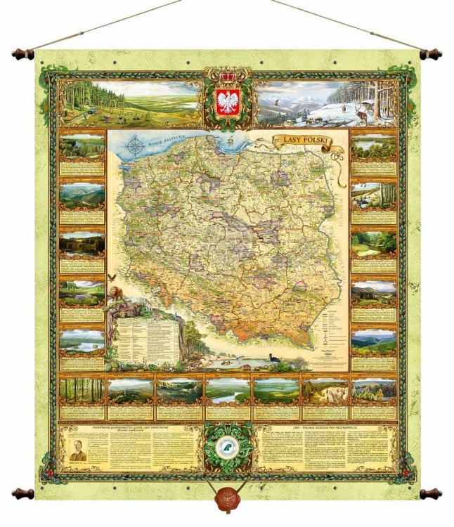 Lasy Polski Pergameny 0.jpg