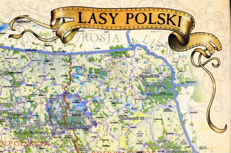 Lasy Polski Pergameny.jpg