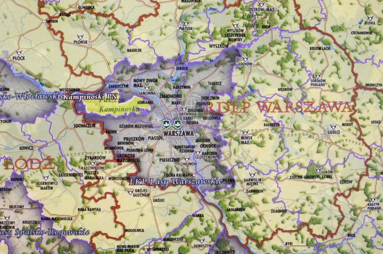 Lasy Polski Pergameny (1).jpg