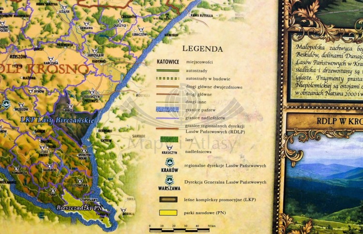 Lasy Polski Pergameny (8).jpg