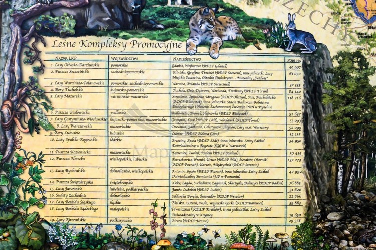Lasy Polski Pergameny (10).jpg