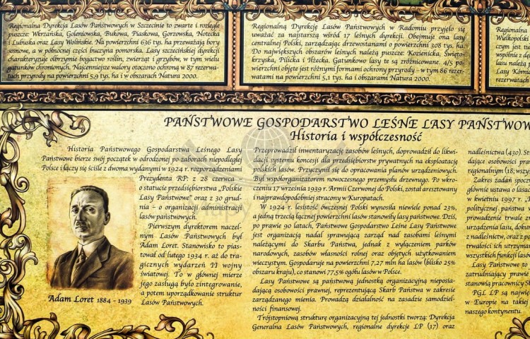 Lasy Polski Pergameny (11).jpg