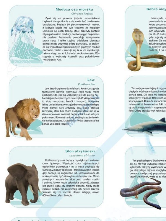 Najniebezpieczniejsze zwierzęta świata. Plansza edukacyjna. Drewniane półwałki