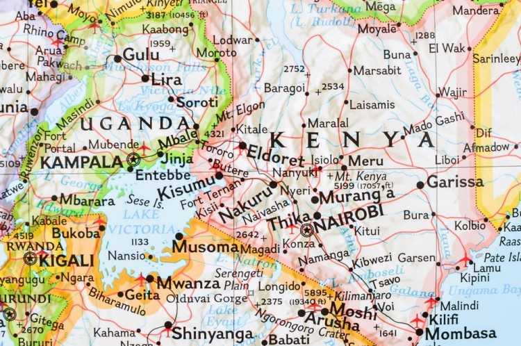 Afryka. Mapa polityczna w ramie drewnianej. Wydawnictwo: National Geographic. Fragment 3