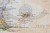 Ameryka Południowa 1:11 098 000. Mapa ścienna ekskluzywna. Wydawnictwo: National Geographic. Fragment 1