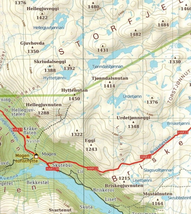 Hardangervidda, cz. wschodnia Wodoodporna mapa turystyczna 113 Freytag & Berndt fragment 1