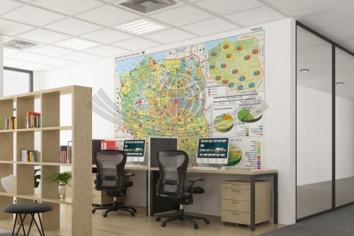 Polska. Fototapeta samoprzylepna. Mapa rolnictwa - uprawy i struktura użytkowania ziemi. Przykład