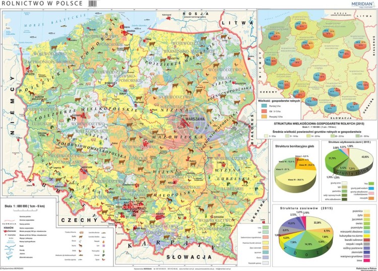 Polska. Fototapeta samoprzylepna. Mapa rolnictwa - uprawy i struktura użytkowania ziemi. Całość