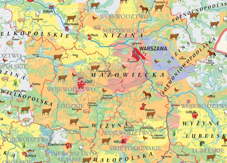 Polska. Fototapeta samoprzylepna. Mapa rolnictwa - uprawy i struktura użytkowania ziemi. Fragment 1