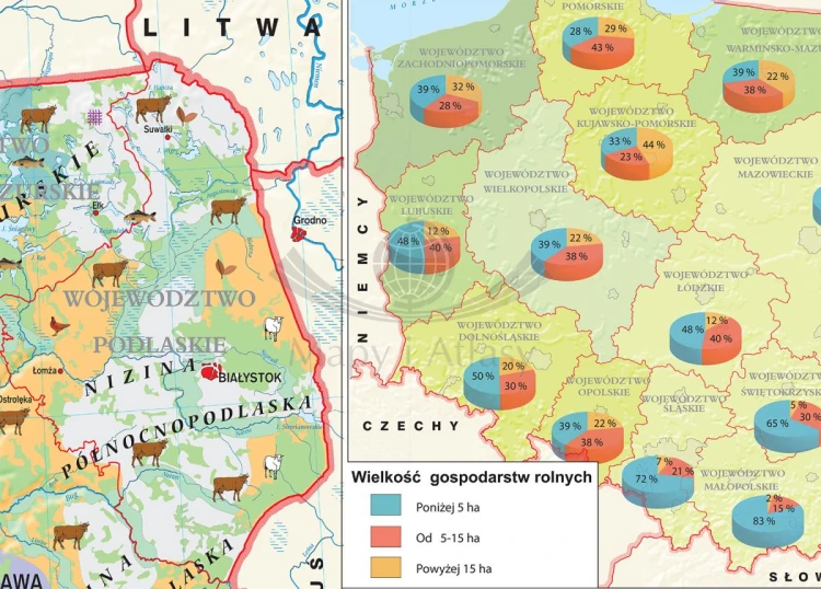 Polska. Fototapeta samoprzylepna. Mapa rolnictwa - uprawy i struktura użytkowania ziemi. Fragment 2