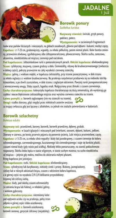 Praktyczny atlas grzybów wydawnictwa Demart. Przykładowa strona 1