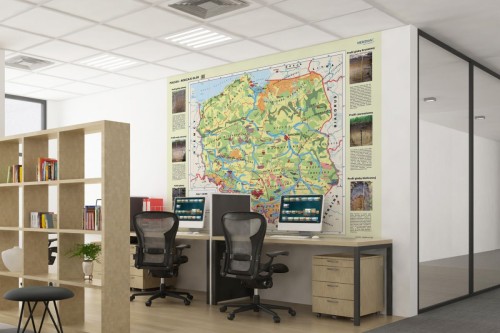 Polska - rodzaje gleb. Fototapeta samoprzylepna. Mapa. Przykład