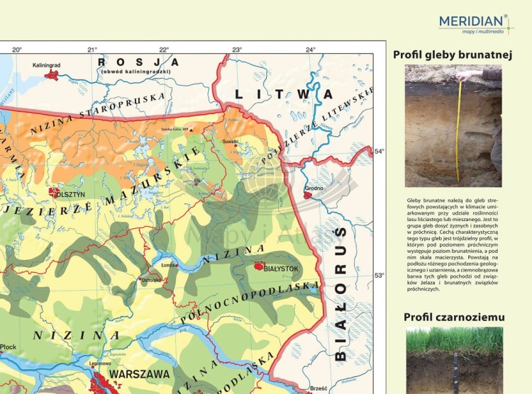 Polska - rodzaje gleb. Fototapeta samoprzylepna. Mapa. Fragment 2