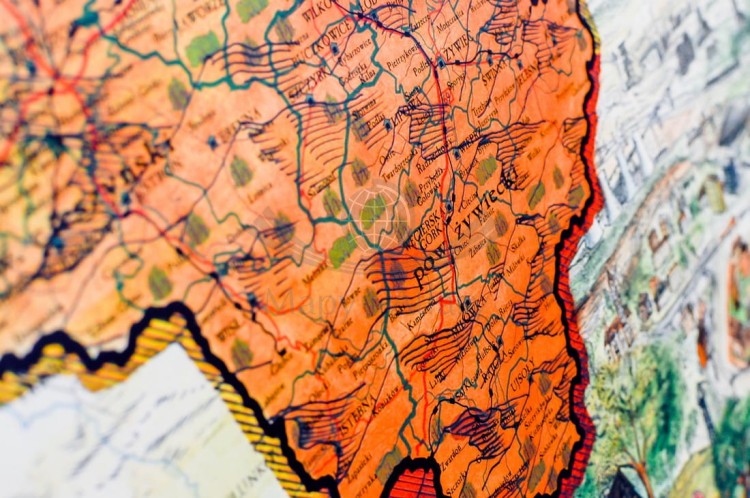 Województwo śląskie. Mapa ścienna ozdobna. Pergamena. Fragment 6