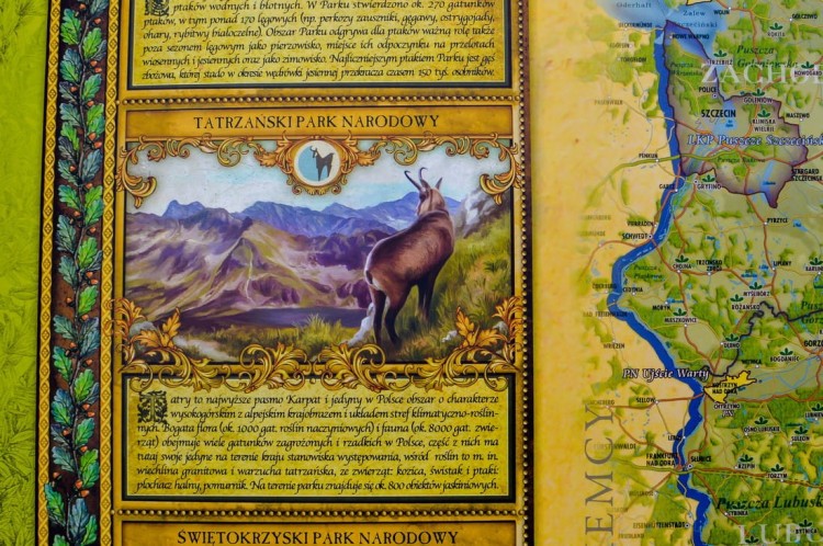 Polska. Mapa ścienna ozdobna przyrody. Pergamena. Fragment 2