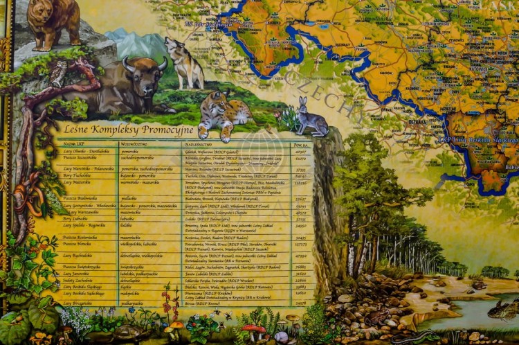 Polska. Mapa ścienna ozdobna przyrody. Pergamena. Fragment 3