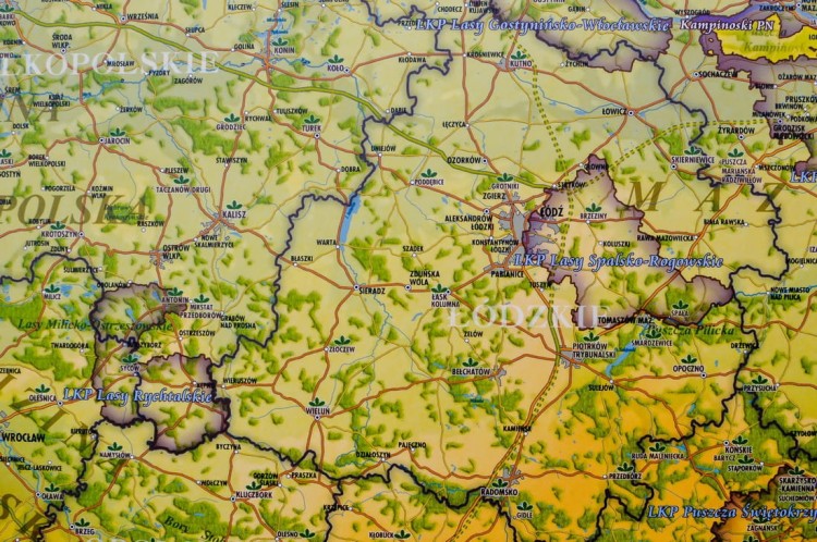 Polska. Mapa ścienna ozdobna przyrody. Pergamena. Fragment 1