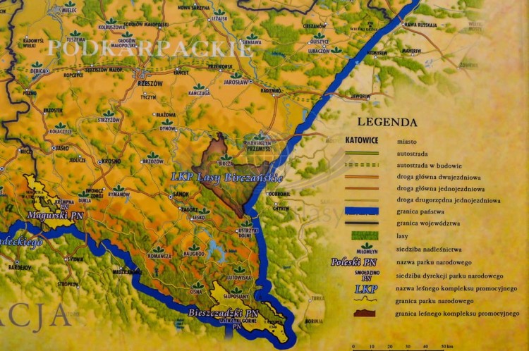 Polska. Mapa ścienna ozdobna przyrody. Pergamena. Legenda