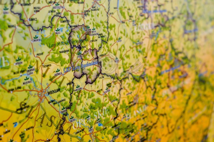 Polska. Mapa ścienna ozdobna przyrody. Pergamena. Fragment 4