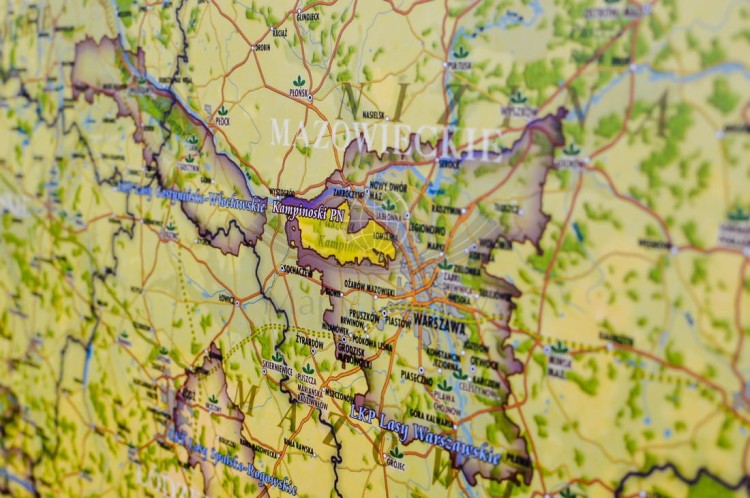 Polska. Mapa ścienna ozdobna przyrody. Pergamena. Fragment 5