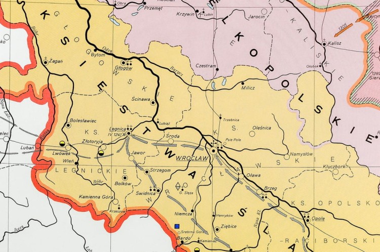 Polska dzielnicowa. Mapa ścienna na płótnie. Fragment 3